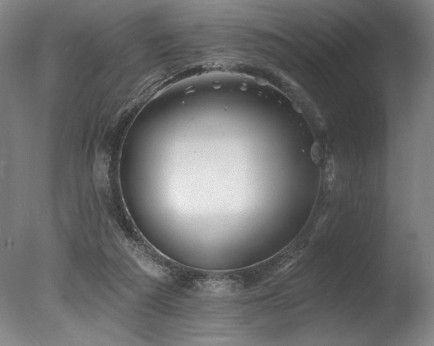 X0000078030209200610271308