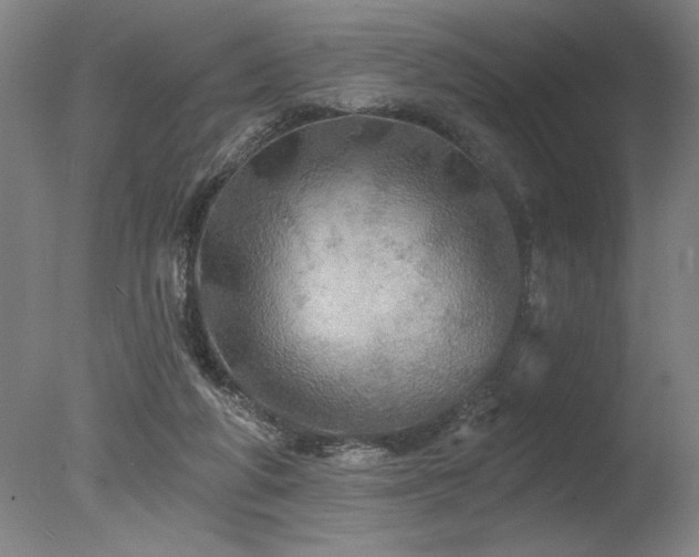 X0000078030210200610271308