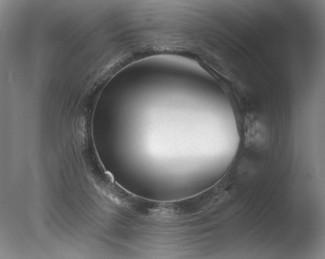 X0000078030211200610271308