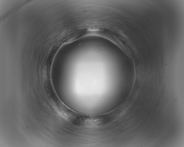X0000078030213200610271308
