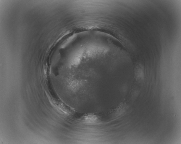 X0000078030214200610271308