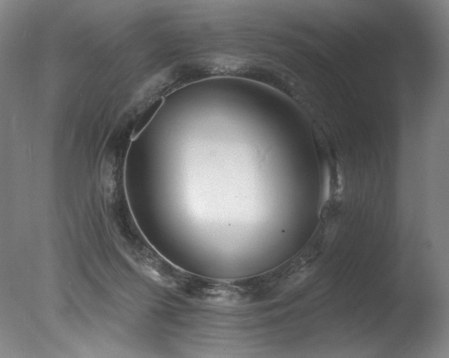 X0000078030215200610271308