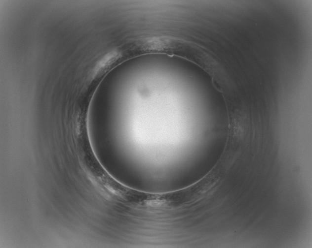 X0000078030216200610271308
