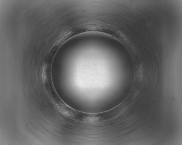 X0000078030217200610271308