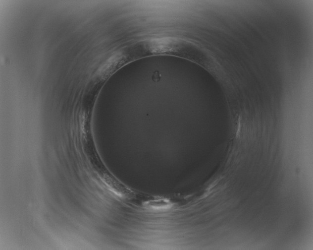 X0000078030219200610271308