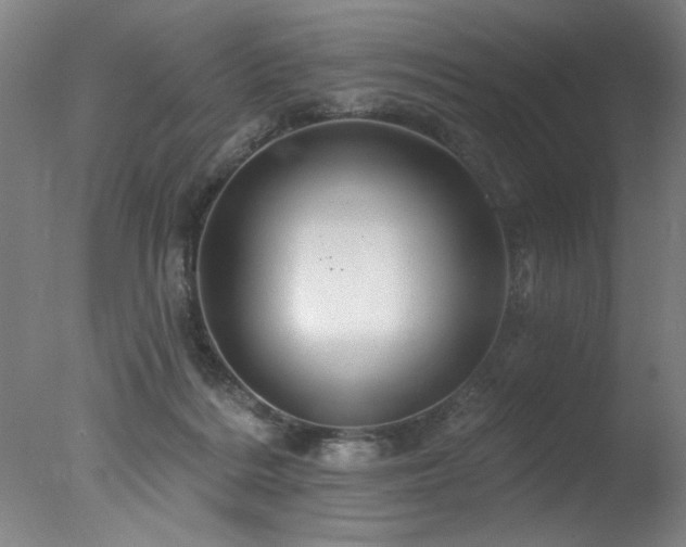 X0000078030220200610271308