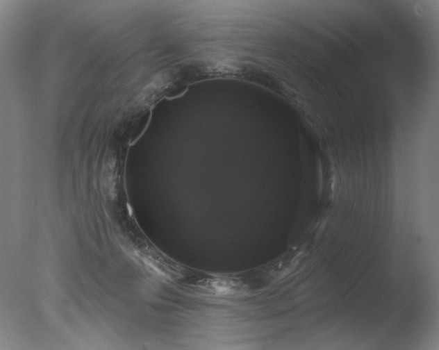 X0000078030223200610271308