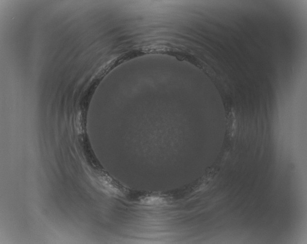 X0000078030224200610271308