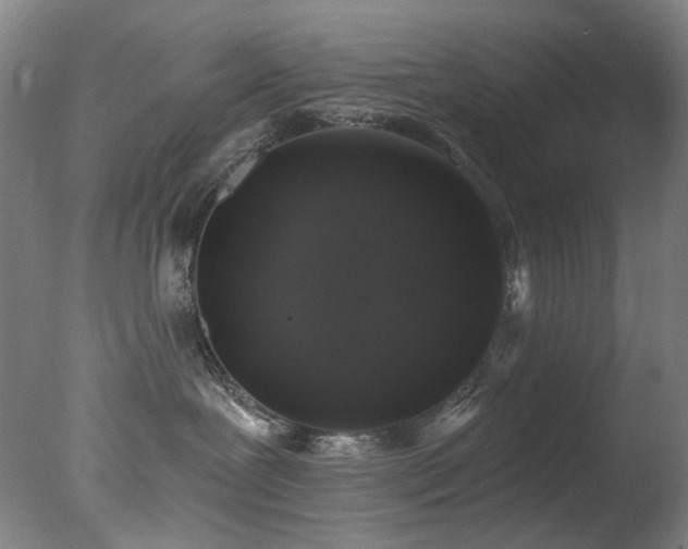 X0000078030239200610271308