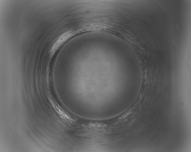 X0000078030242200610271307