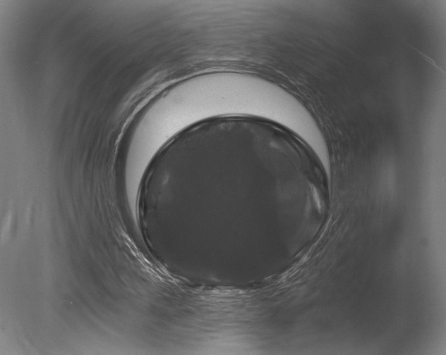 X0000078030243200610271307