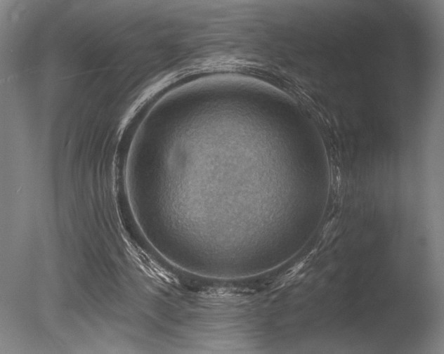 X0000078030244200610271307