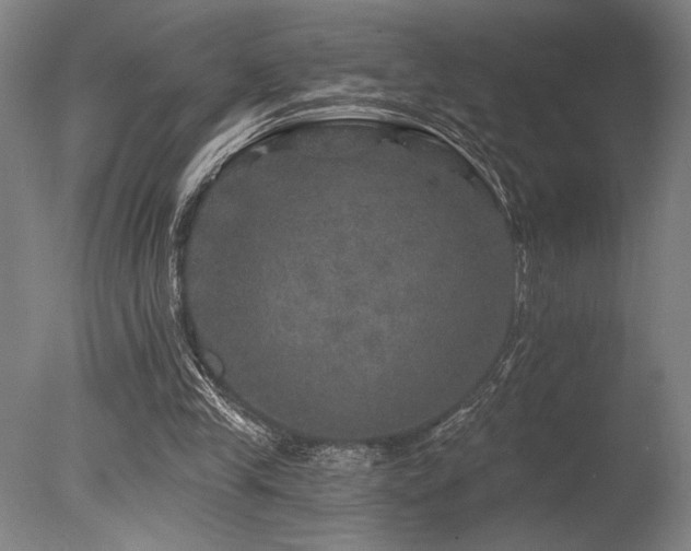 X0000078030245200610271307