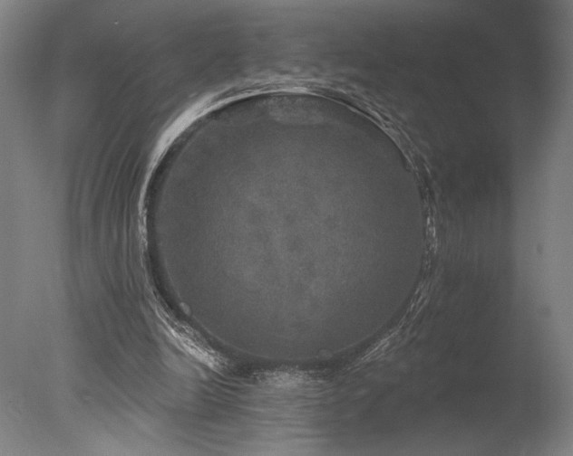 X0000078030246200610271307