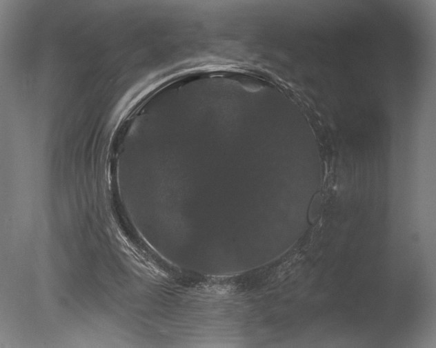 X0000078030247200610271307