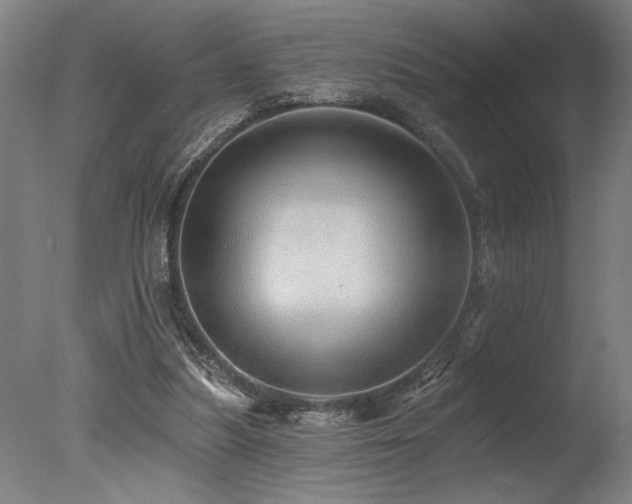 X0000078030251200610271307