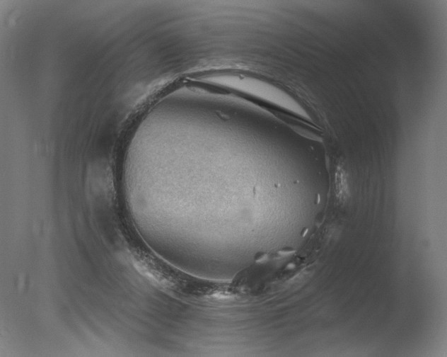X0000078030256200610271307