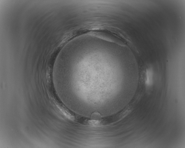 X0000078030265200610271307
