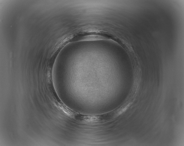 X0000078030288200610271308