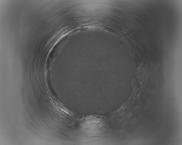 X0000078030290200610271307