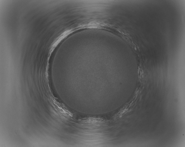 X0000078030292200610271307