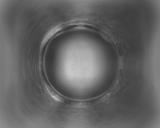 X0000078030293200610271307
