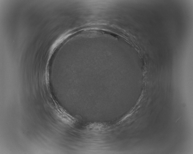 X0000078030294200610271307