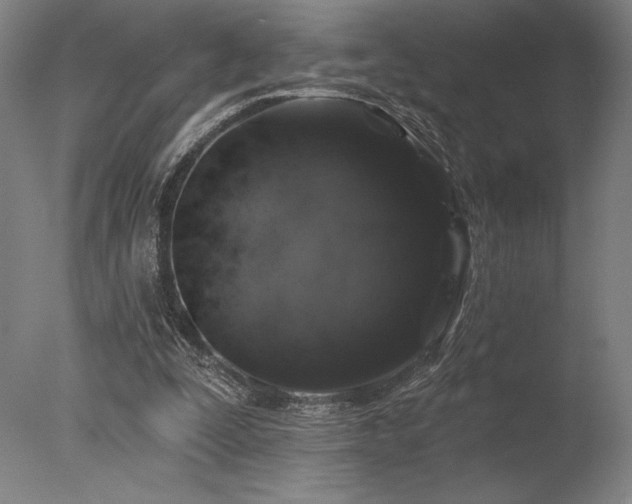 X0000078030295200610271307