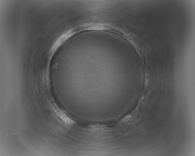 X0000078030296200610271307