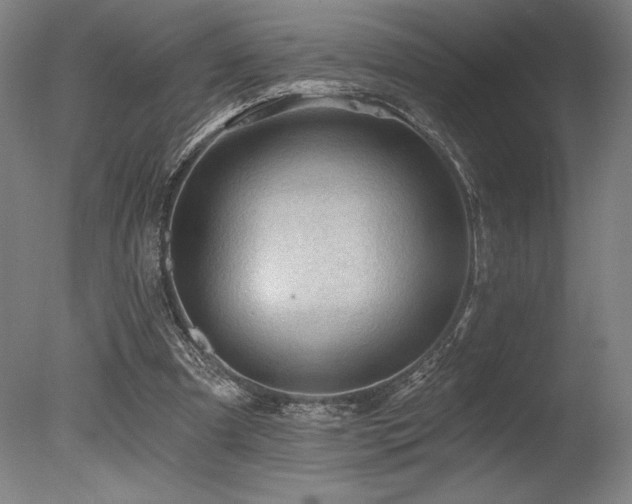 X0000078030297200610271307