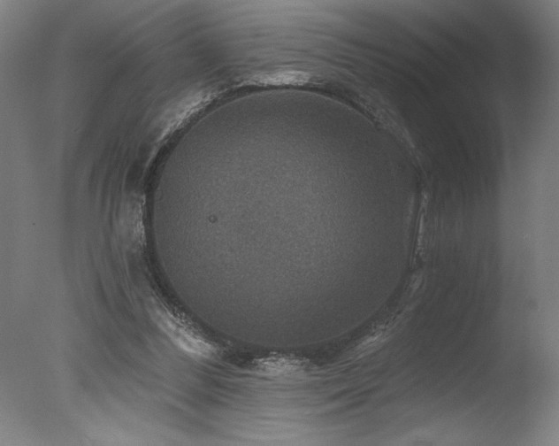 X0000078030300200610271307