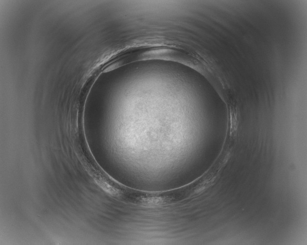 X0000078030301200610271307