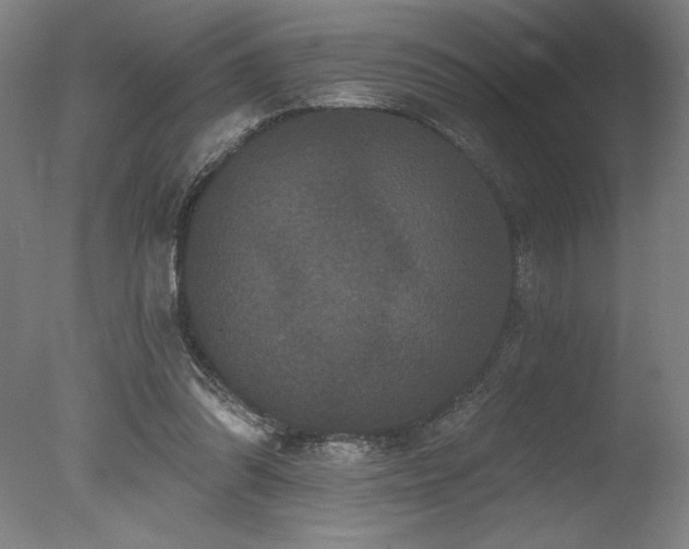 X0000078030302200610271307