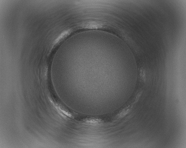 X0000078030304200610271307