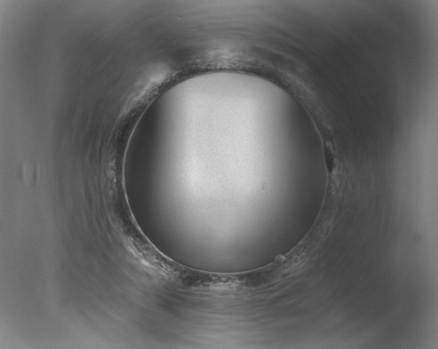 X0000078030306200610271307