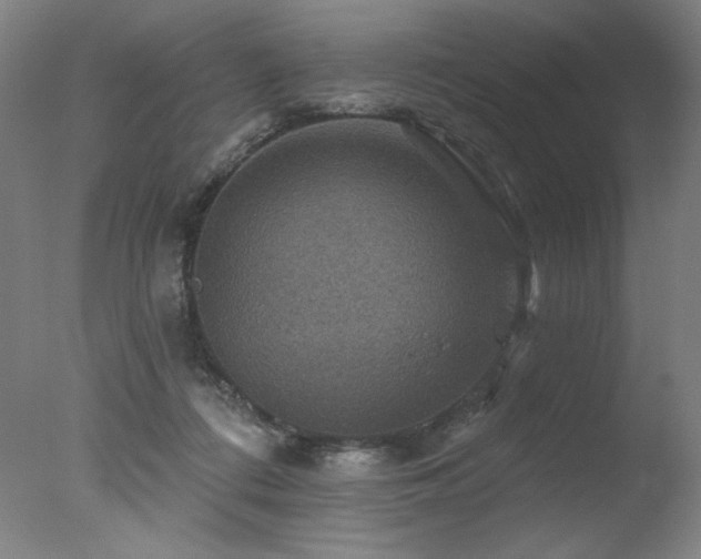 X0000078030312200610271306