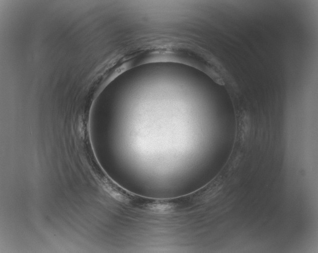 X0000078030313200610271306