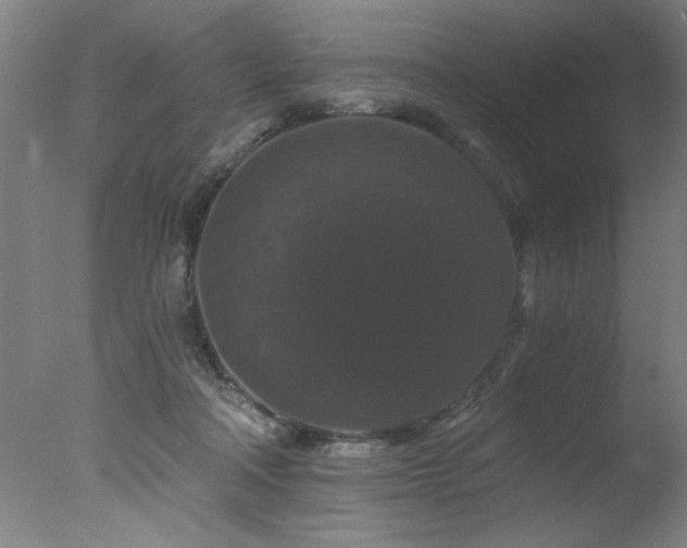 X0000078030314200610271306