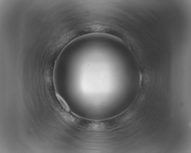 X0000078030317200610271306
