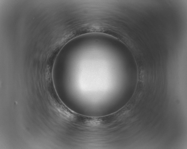 X0000078030318200610271306