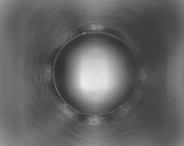X0000078030321200610271306