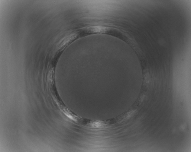 X0000078030325200610271306