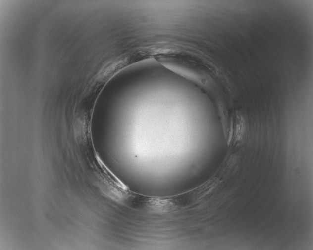 X0000078030333200610271306