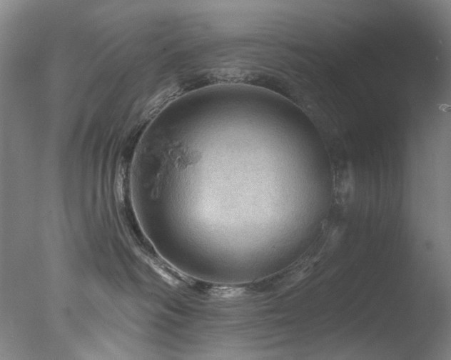 X0000078030334200610271306