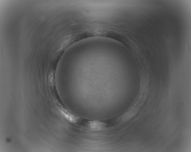 X0000078030336200610271306