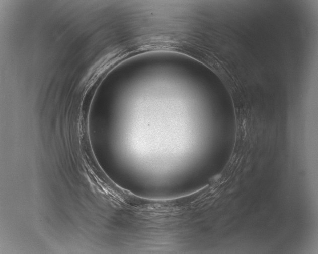 X0000078030338200610271305
