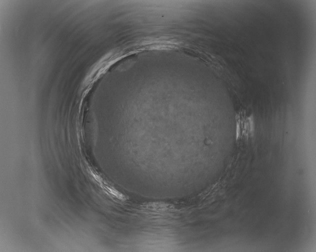 X0000078030339200610271305