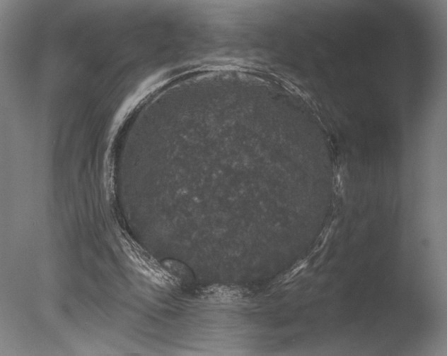 X0000078030343200610271305