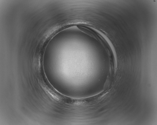 X0000078030350200610271305