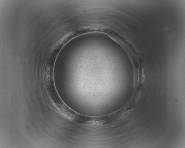 X0000078030356200610271306